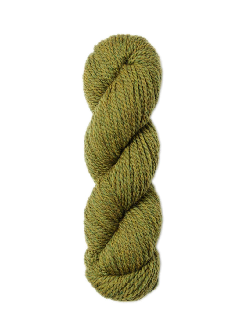 Load image into Gallery viewer, BSF-1309|Blue Sky Fibers Woolstok Worsted Yarn 50g, 1309 Earth Ivy