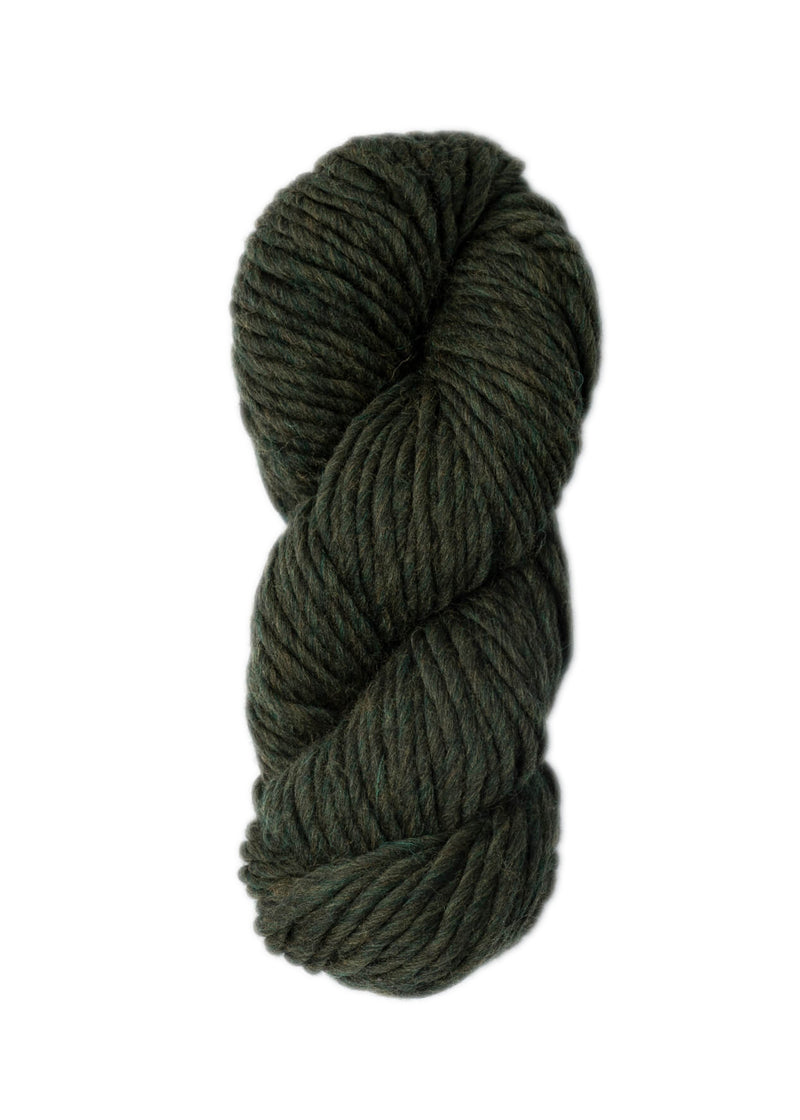 Load image into Gallery viewer, BSF-4306|Blue Sky Fibers Woolstok North Super Bulky Yarn 150g, 4306 Wild Thyme