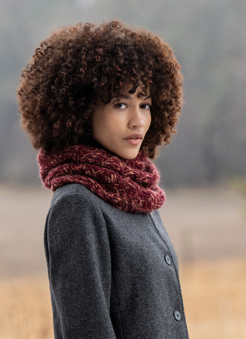 Load image into Gallery viewer, BSF-4310|Blue Sky Fibers Woolstok North Super Bulky Yarn 150g, 4310 Crnbry Compote