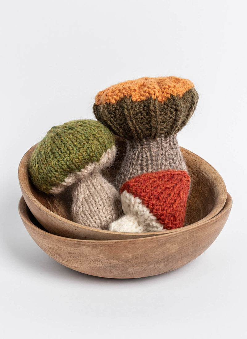 Load image into Gallery viewer, BSF-1309|Blue Sky Fibers Woolstok Worsted Yarn 50g, 1309 Earth Ivy