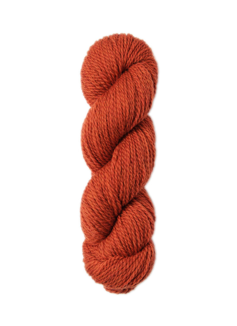 Load image into Gallery viewer, BSF-1311|Blue Sky Fibers Woolstok Worsted Yarn 50g, 1311 Rusted Roof