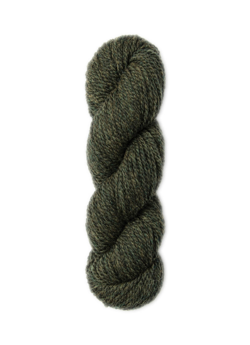 Load image into Gallery viewer, BSF-1306|Blue Sky Fibers Woolstok Worsted Yarn 50g, 1306 Wild Thyme