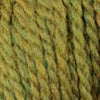 Load image into Gallery viewer, swatch_1309 Earth Ivy|1309 Earth Ivy