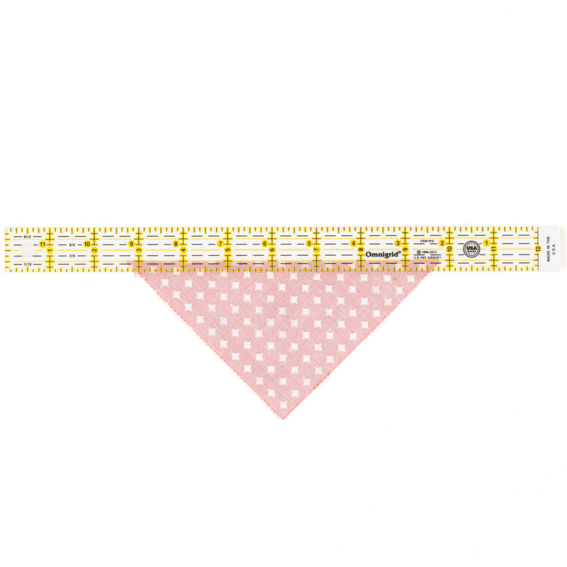 Load image into Gallery viewer, R1C|Omnigrid Rectangle Ruler, 1" x 12"