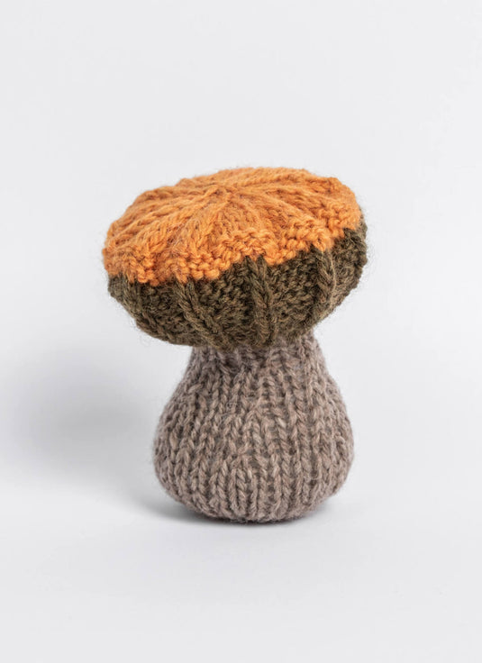 BSF-202418|Blue Sky Fibers Fall Fungi Pattern, Free PDF Pattern