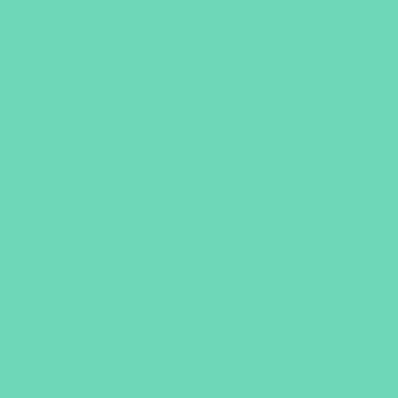 Load image into Gallery viewer, swatch_Mint|Prym Color Snaps, round, 12.4 mm, 30 pcs, Mint