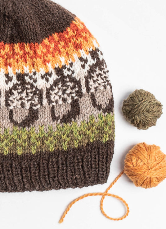 BSF-202223|Blue Sky Fibers Acorn Street Cap Pattern, Free PDF Pattern