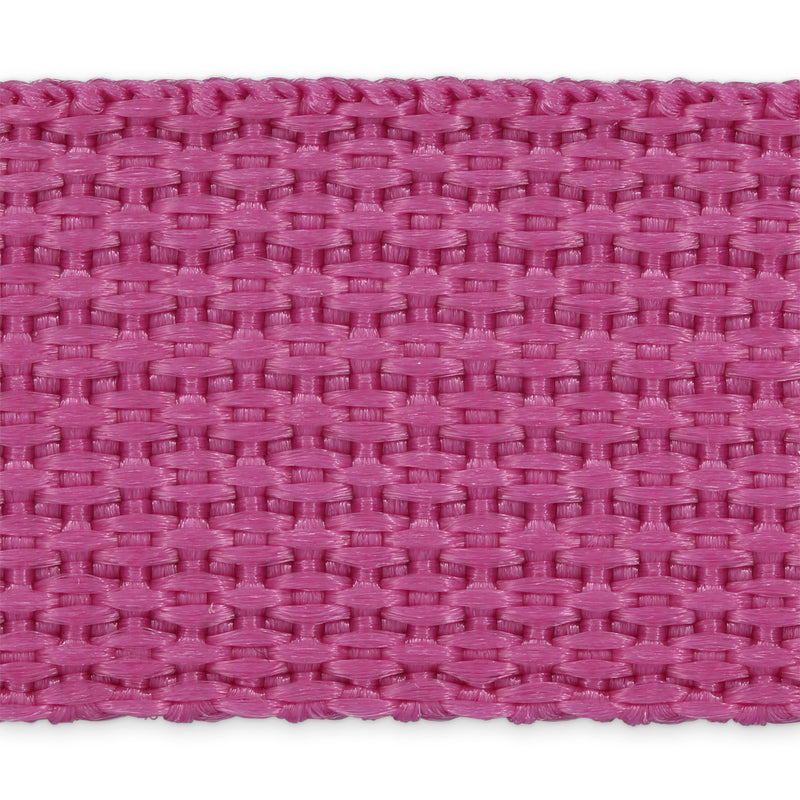 Load image into Gallery viewer, 28608-51|Dritz 1" Polypro Belting &amp; Strapping, Raspberry, 2 yd