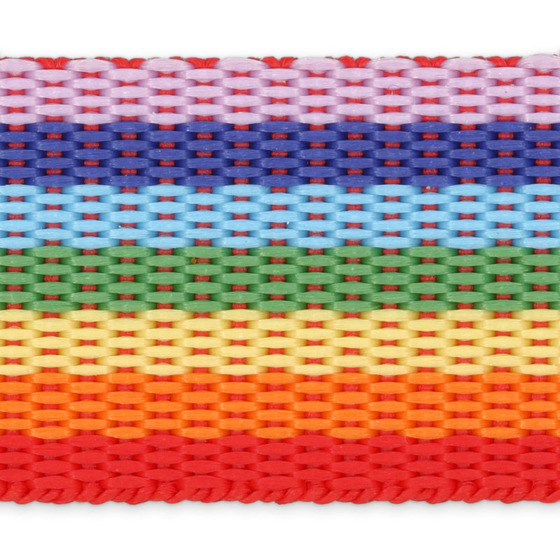 Load image into Gallery viewer, 450|Dritz 1" Polypro Belting &amp; Strapping, Rainbow, 60" Long