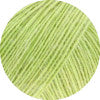Load image into Gallery viewer, swatch_78  Soft Green|78  Soft Green
