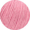 swatch_21  Carnation|21  Carnation