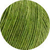 Load image into Gallery viewer, swatch_02  Apple Green|02  Apple Green
